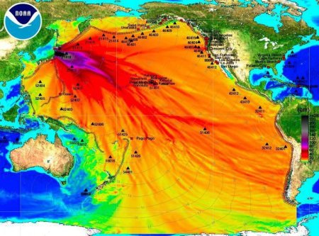 The ocean radiation plume from the 2011 disaster is expected to reach the U.S. coast by 2014 (directly at San Francisco), according to a model. (Source: adrift.au.org)
