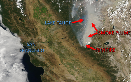 RIM FIRE LABELED